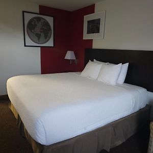 King Room Non-Smoking